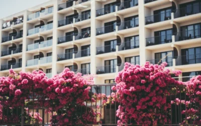 Las mejores plantas para terrazas en Madrid: resistentes, bonitas y fáciles de cuidar