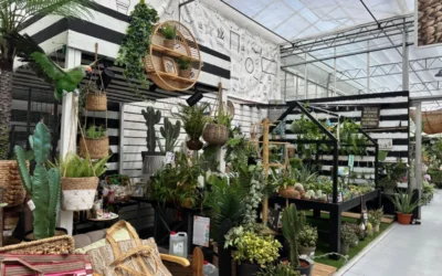 Dónde comprar plantas en Madrid centro: guía para acertar según tu espacio