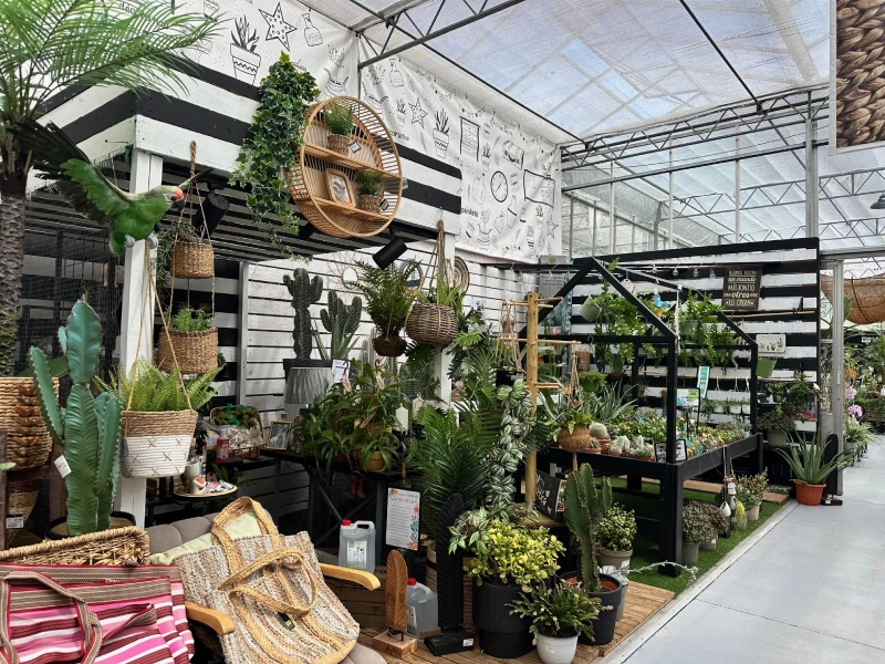 Dónde comprar plantas en Madrid centro: guía para acertar según tu espacio