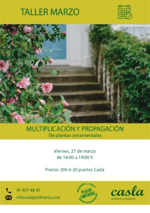Taller de multiplicación y propagación de plantas ornamentales – Viernes 27 de Marzo